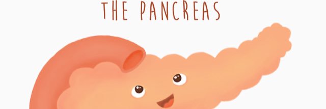 theinsulinguy's profile banner image