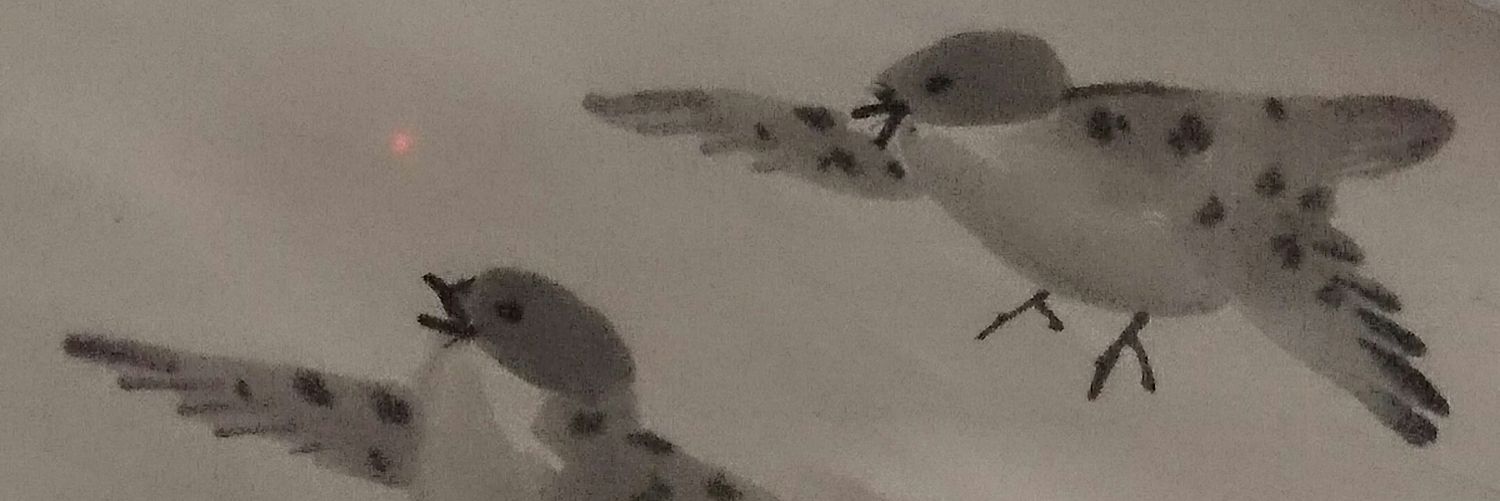 acconique's profile banner image