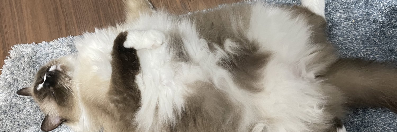 TanTanSaSSaS's profile banner image