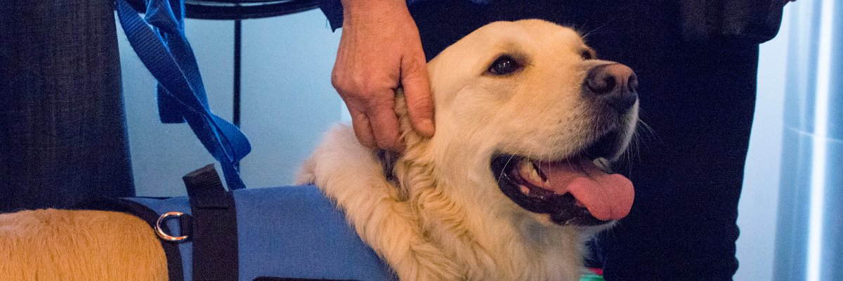 BuddySystemFilm's profile banner image