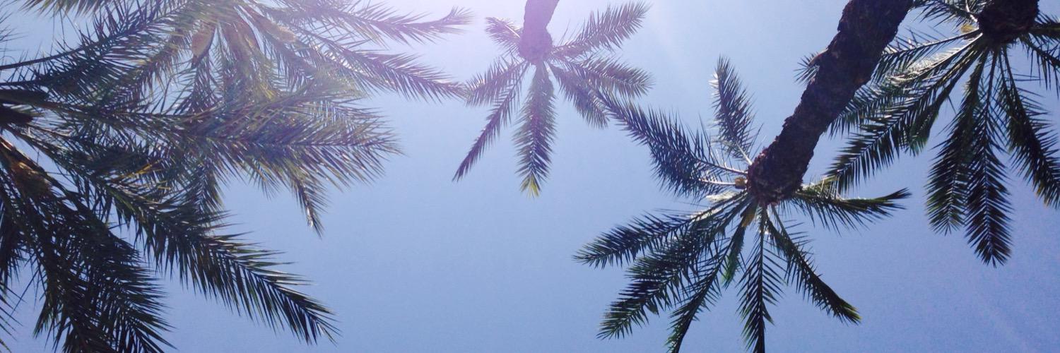 dockersville's profile banner image