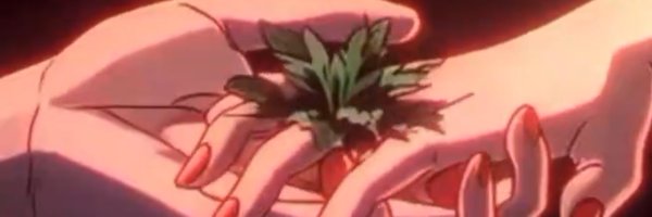 iceliinee Profile Banner