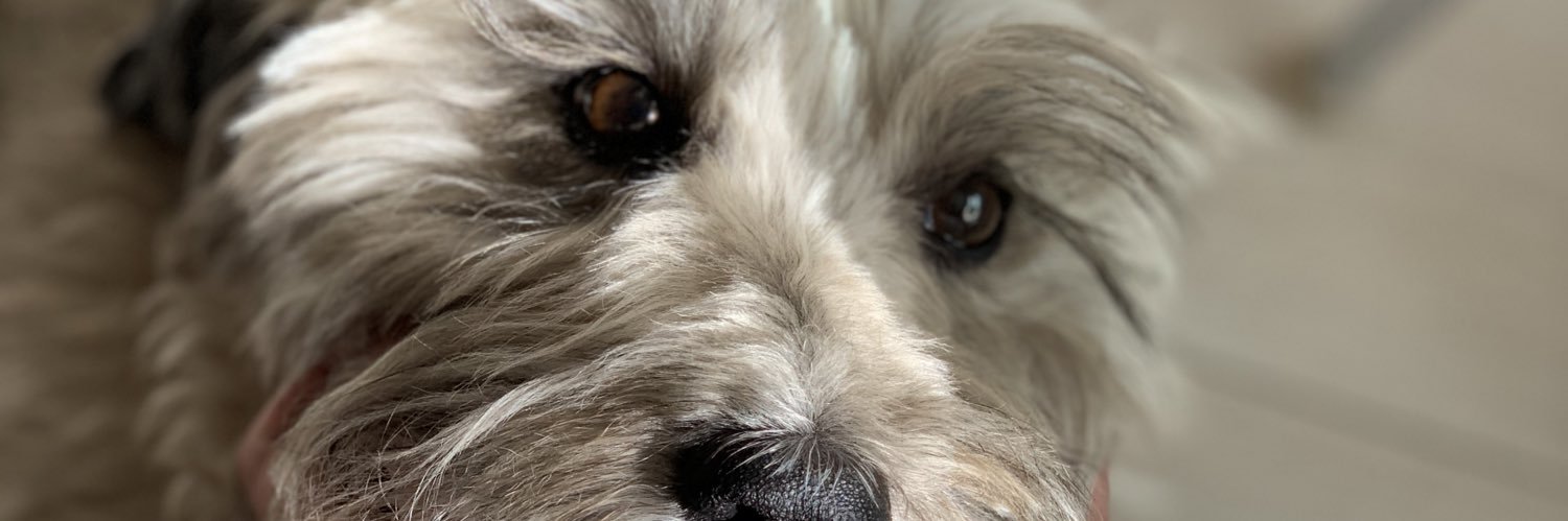 Ana Victoria Eudave banner