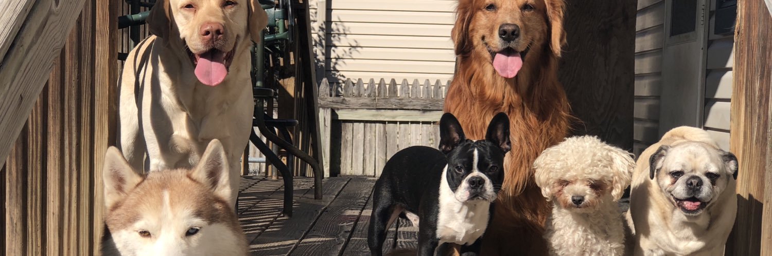 jenna_rybicki's profile banner image