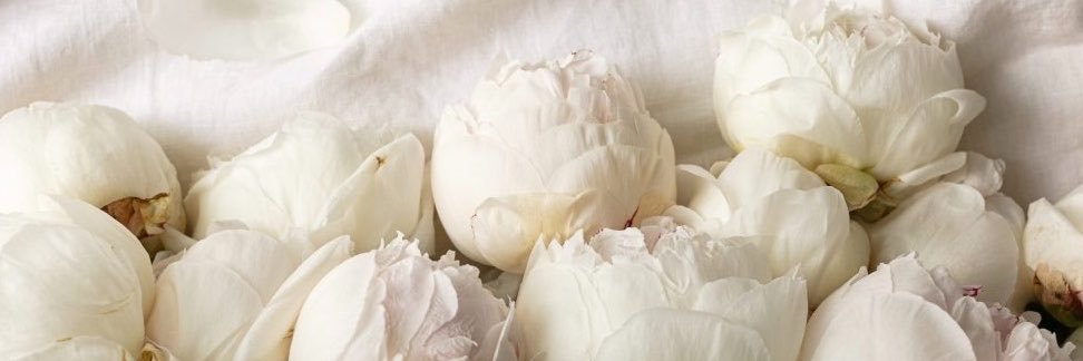 corinagorrin's profile banner image