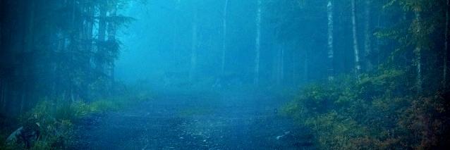 BillBrunson1's profile banner image