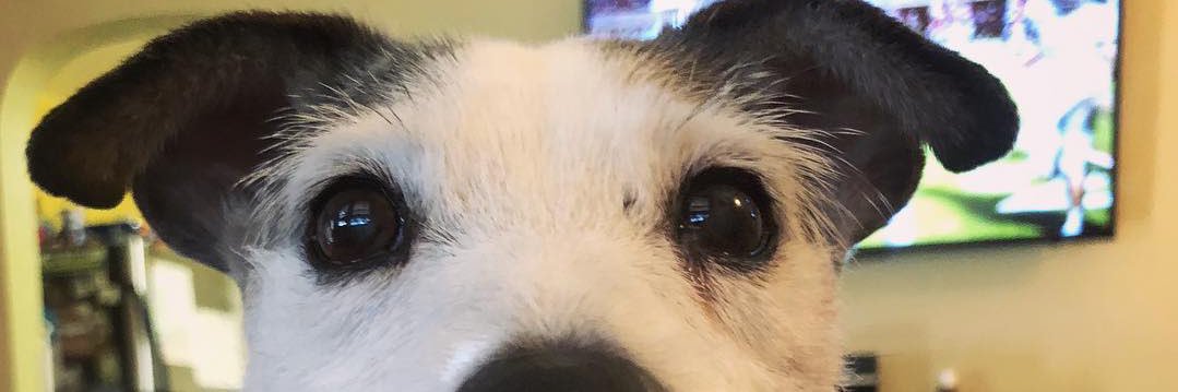 SirVack's profile banner image