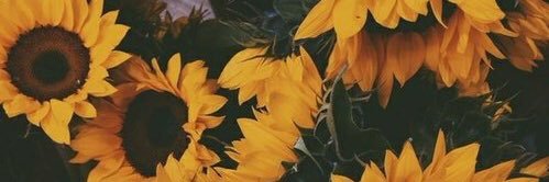 abbymoore05's profile banner image