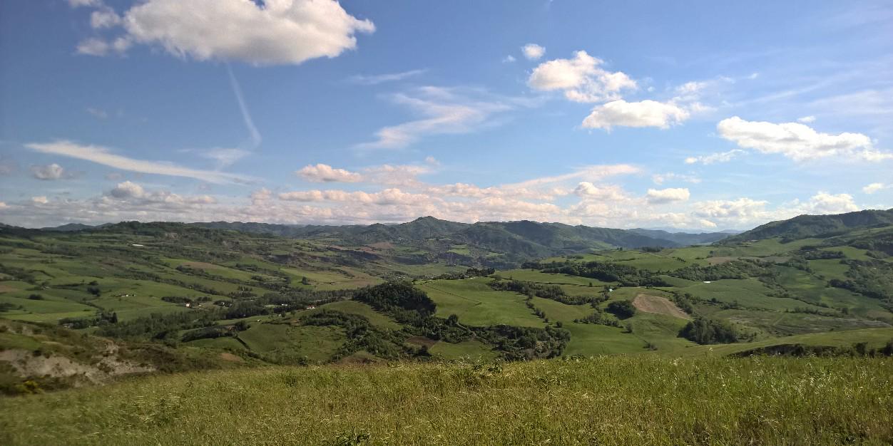 steforli75's profile banner image