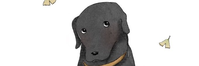 LoChecheR_'s profile banner image