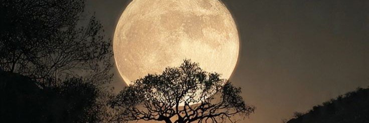 so_jl_'s profile banner image
