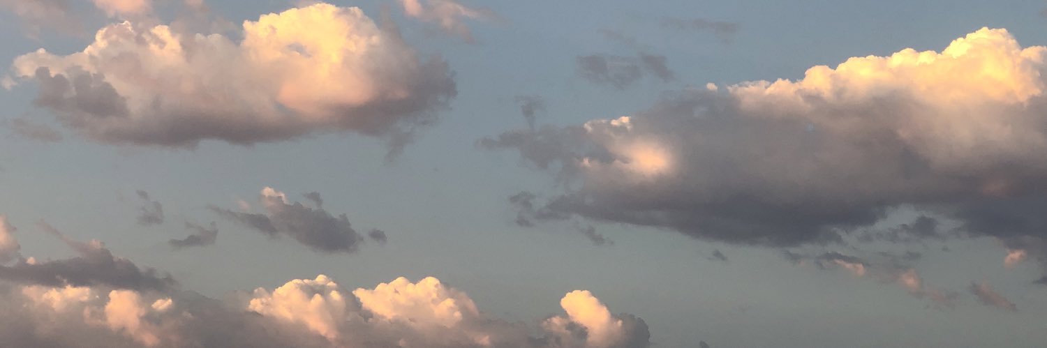 fortunafiasco's profile banner image