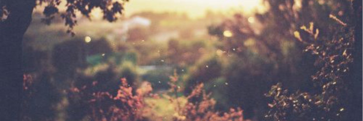 clichenconfused's profile banner image