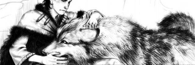 WolfOfDespair's profile banner image