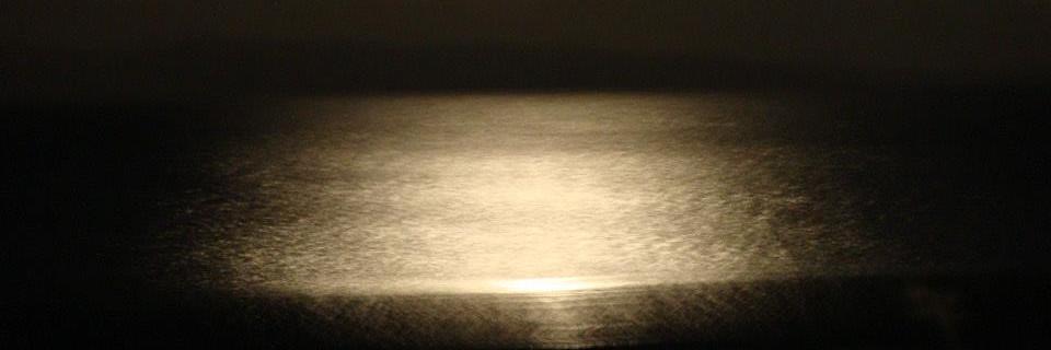 Shameera Ashroff banner