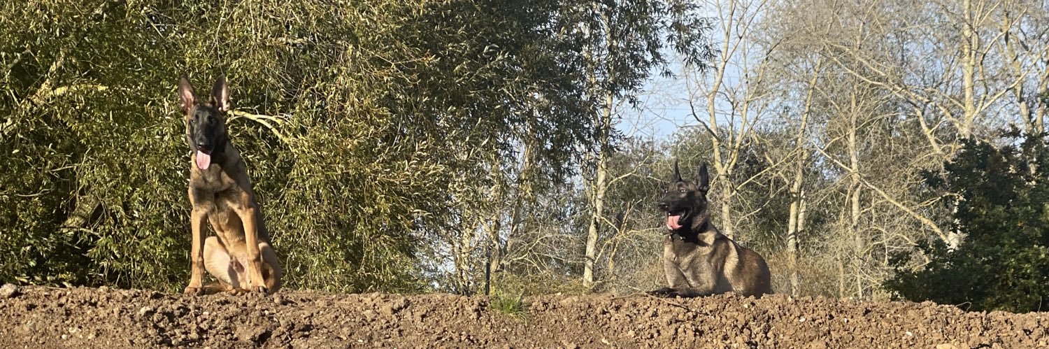 Trimsz_Loco's profile banner image