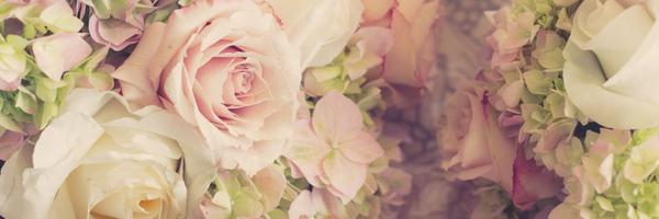 Yesi0935's profile banner image