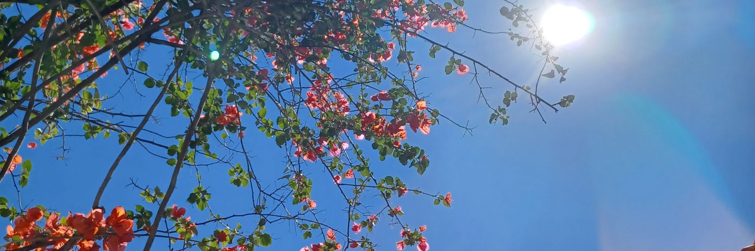 rosaaax32's profile banner image