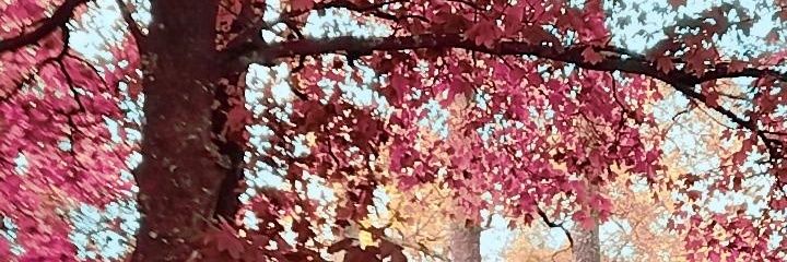 Ilranm's profile banner image