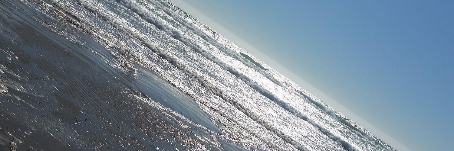 msealy23's profile banner image