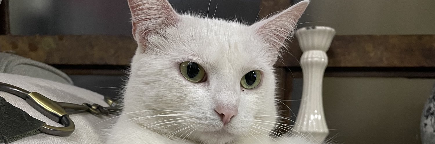 jubsskkj's profile banner image
