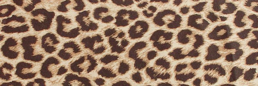 CoraLove_apc's profile banner image