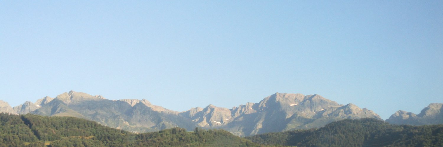 taylorbowie's profile banner image