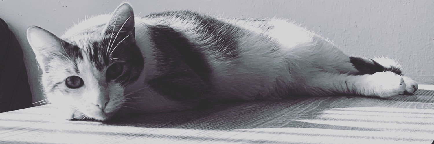 adrosn91's profile banner image