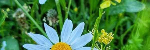 mojtaba47teh's profile banner image