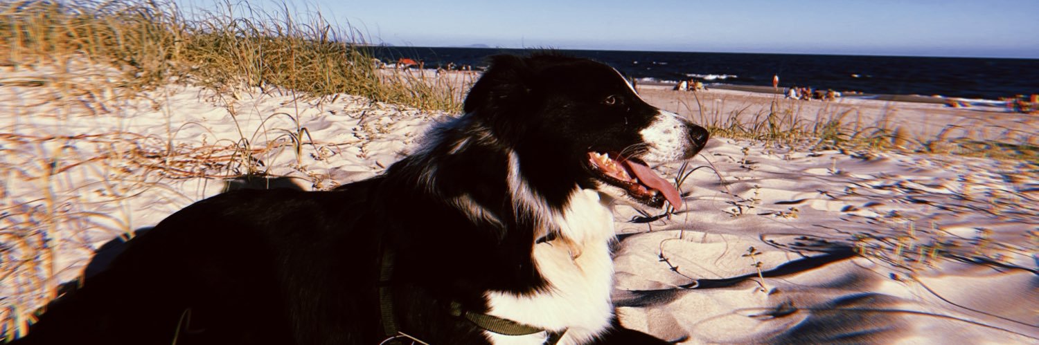 LoreLavella's profile banner image
