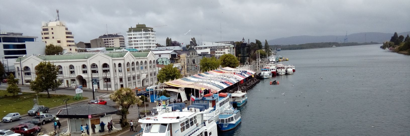 Soledad Elizabeth banner