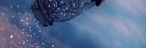 Nelly lpz banner