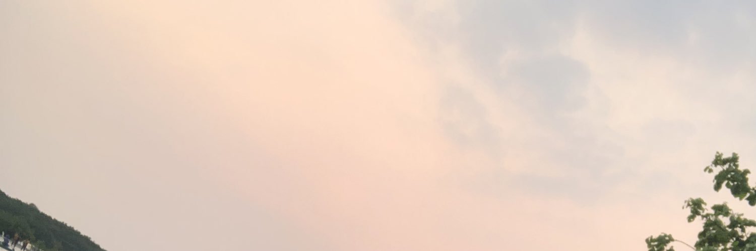 imursunflowers's profile banner image