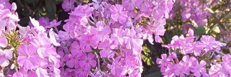 a_a05144's profile banner image