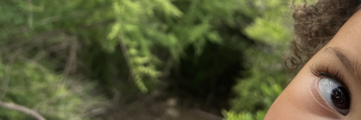 fernandes_ced's profile banner image