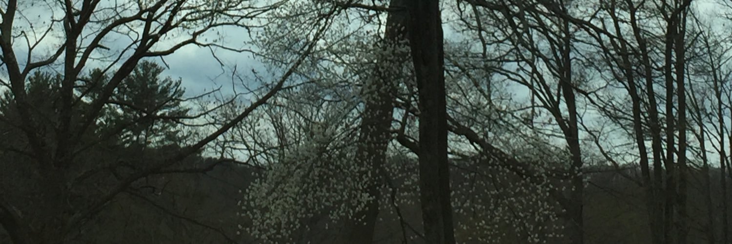 SingleVigilant's profile banner image