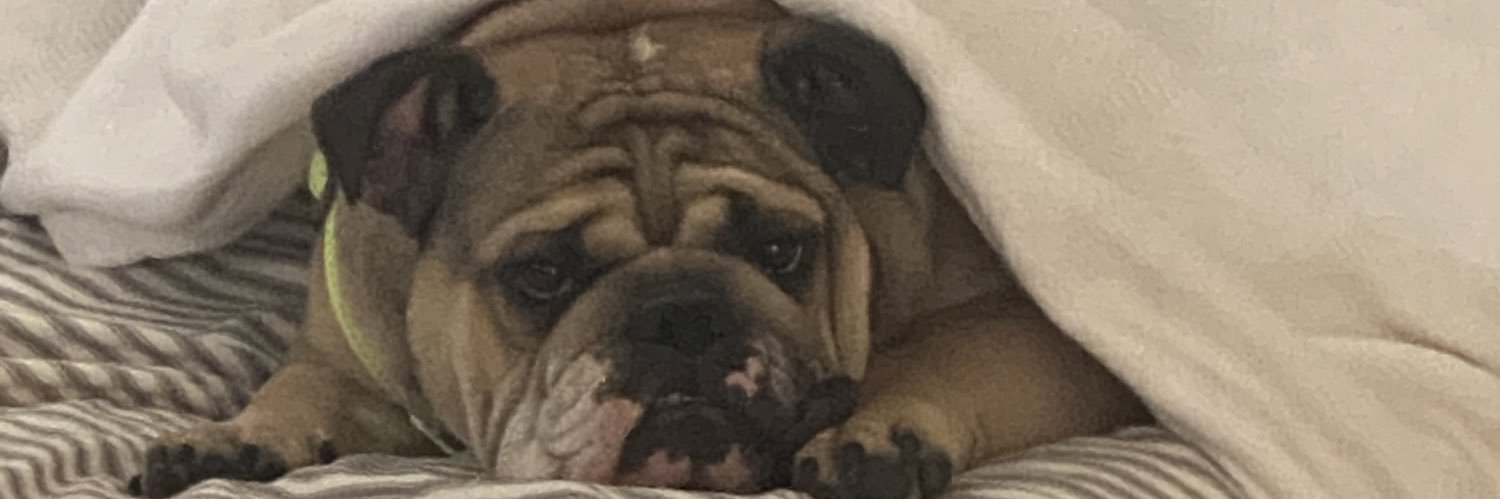 RyanDiSciullo's profile banner image