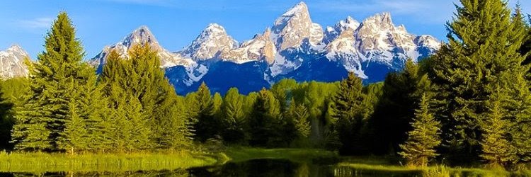 RafaelAntonioCS's profile banner image