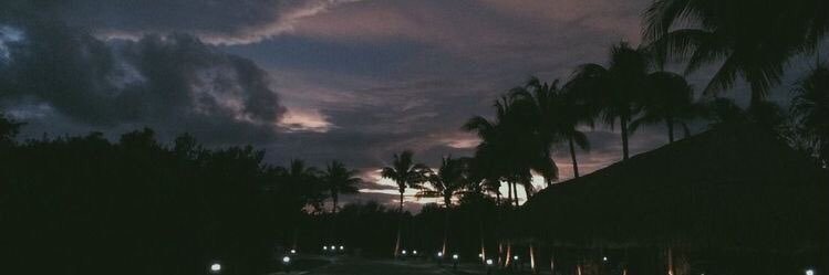 BeDo ✩. banner