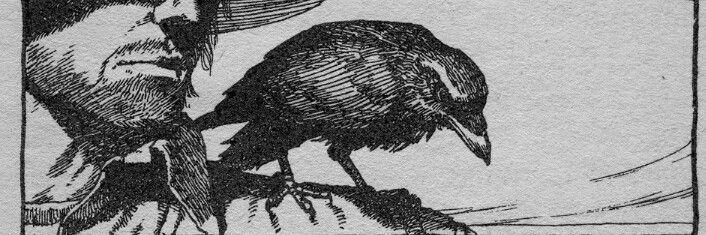 MarjorieVesper's profile banner image