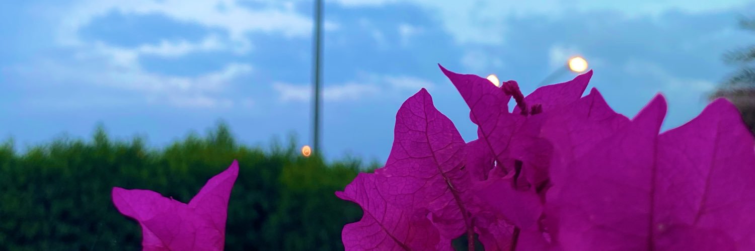 TM___97's profile banner image