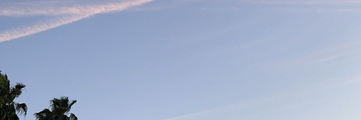 sprinkleofwhit's profile banner image