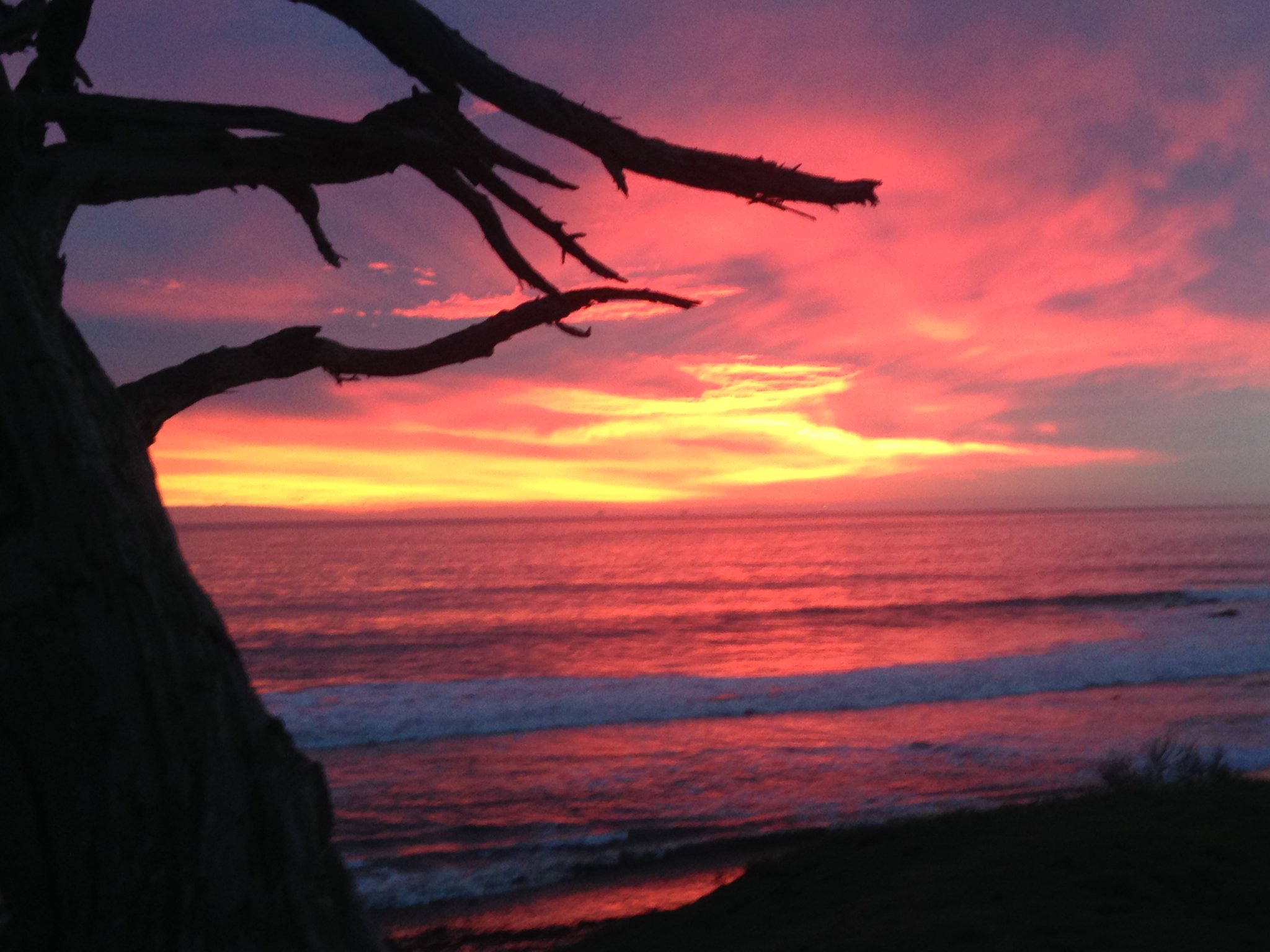 Dr. Betsy Stoner banner