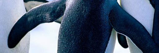 EffusiveHD's profile banner image