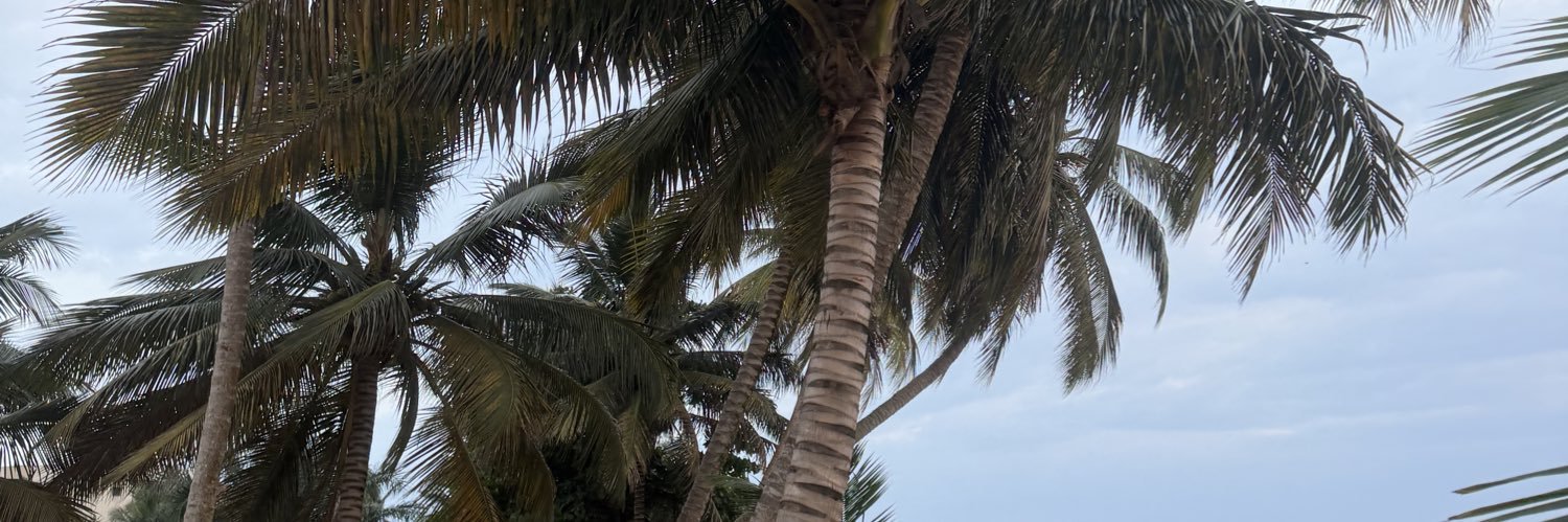 Primirayy's profile banner image