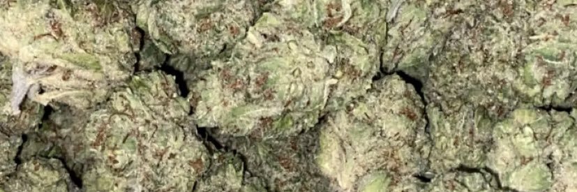 phuck_phame's profile banner image