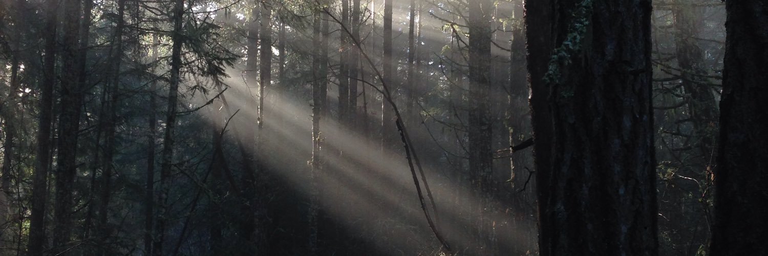 mscholz16's profile banner image
