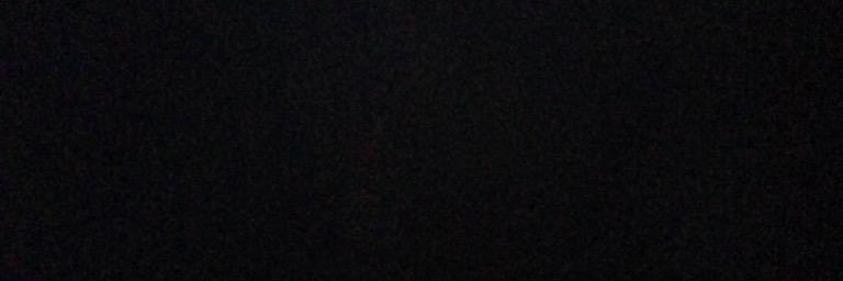 PanchiscaMi's profile banner image