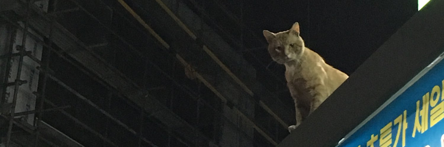 salutmandarin's profile banner image