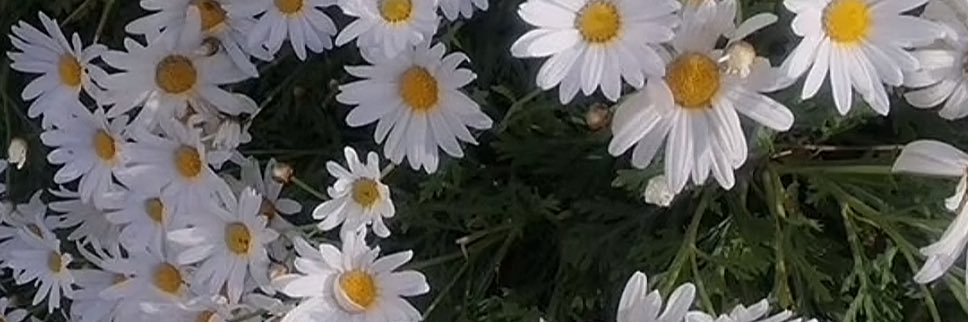 8ii_0's profile banner image